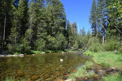 DSC_4300 (Large).JPG